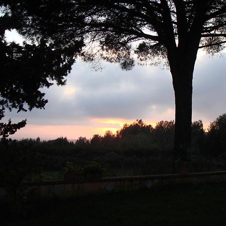 לינה וארוחת בוקר Salemi Ai Cipressi מראה חיצוני תמונה