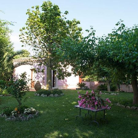 לינה וארוחת בוקר Salemi Ai Cipressi מראה חיצוני תמונה