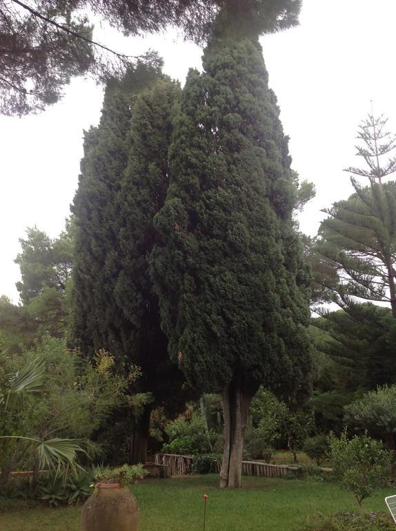 לינה וארוחת בוקר Salemi Ai Cipressi מראה חיצוני תמונה